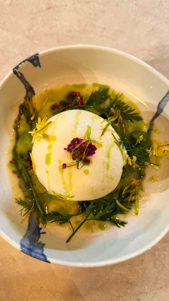 Kleiner Salat mit Burrata